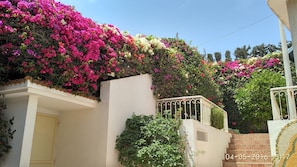 jardin