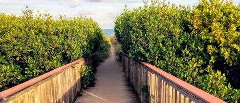 picturesque path to beach, across the street from home