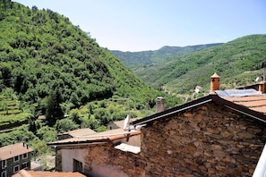 Another picture of the view from the balcony