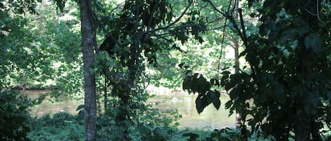 View from the porch