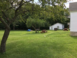 Backyard with Fire Pit and Picnic Tables