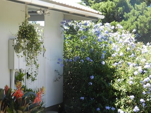 Hale Kea Cottage has its  own private entrance. Parking for only 1 car.