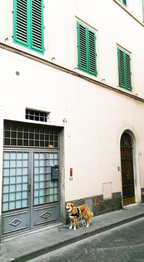 Exterior detail