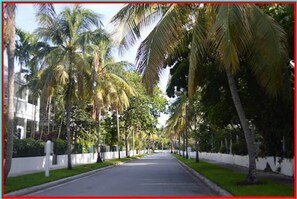 Truman Annex - palm tree lined streets, blue skies. . . welcome to paradise!!