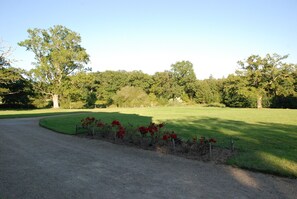 Garden and forest