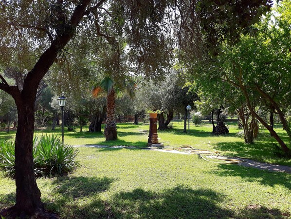 Property grounds