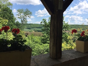 vue 