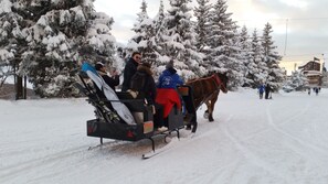 Snow and ski sports
