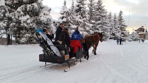 Snow and ski sports