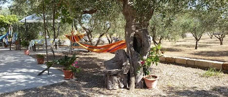 Amache all'ombra degli ulivi a disposizione degli ospiti.