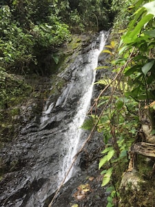 Increíble Finca en la Zona de Café cerca de Medellín!