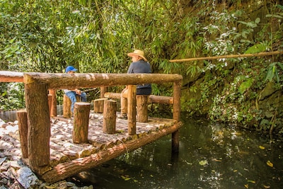 Increíble Finca en la Zona de Café cerca de Medellín!