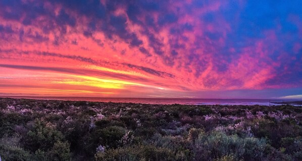 Our sunsets over the Atlantic Ocean is just spectacular!