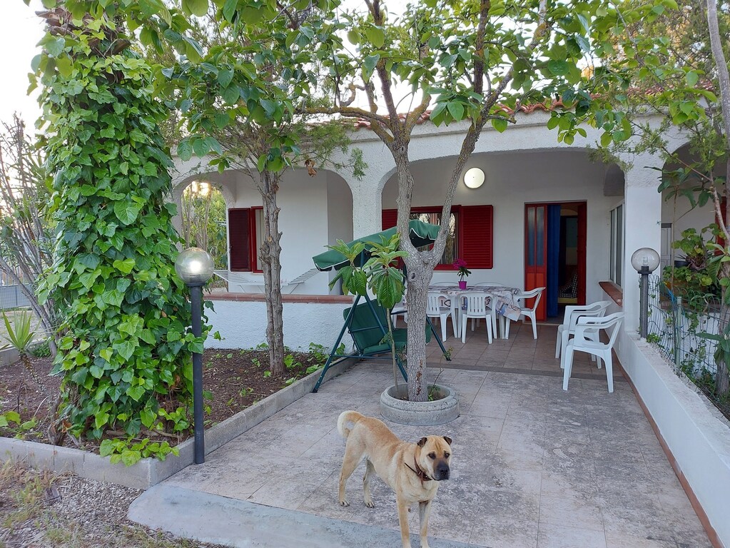 Picture of villa