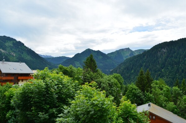 View