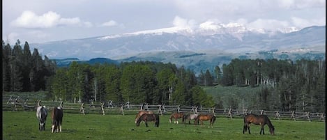 One view of the ranch - looking at the Sleeping Indian in the Gros Ventre range