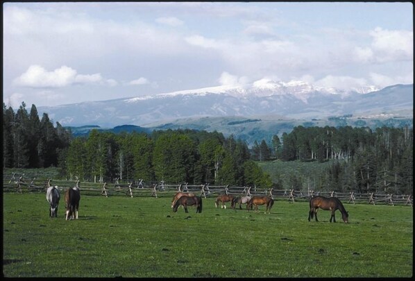 One view of the ranch - looking at the Sleeping Indian in the Gros Ventre range