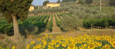 Parco della struttura