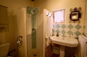 Shower room and toilet with rain shower head