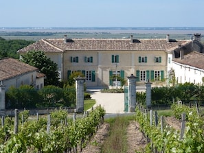 le Domaine vu des vignes
