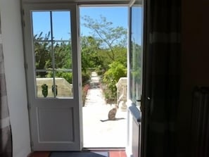 suivez le chat sur le perron..