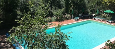 Swimming pool seen from the main house