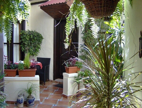 Small patio terrace