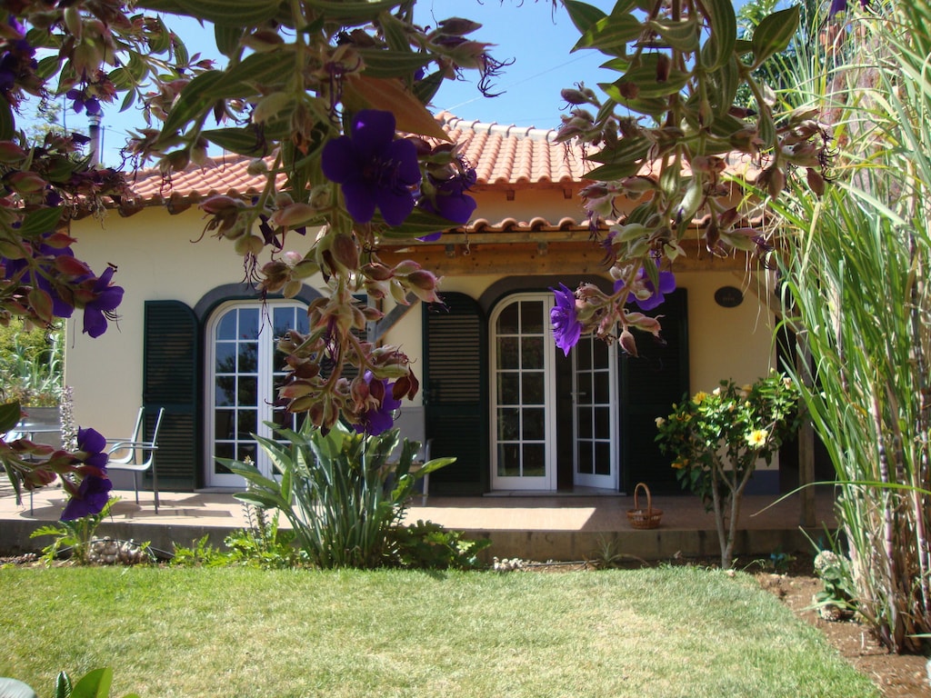 Picture of villa