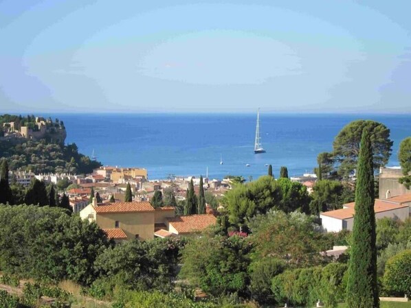 Overview