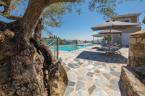 Communal Swimming Pool Area