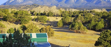 View from our lodge - not too shabby!
