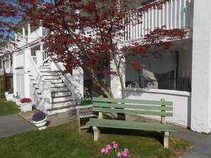 More Front View