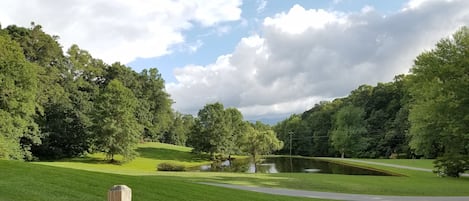 Beautiful Views.  The pond is not on our property.