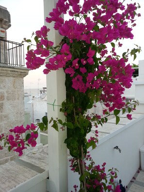 Detalle exterior