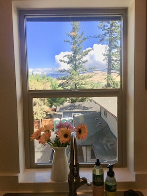 Amazing view from kitchen (during construction in summer 2019)