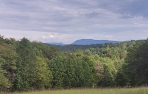 View from front porch