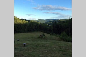 View of the meadow in late spring early summer.