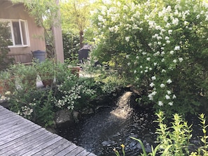 Pond with west waterfall and herb garden.