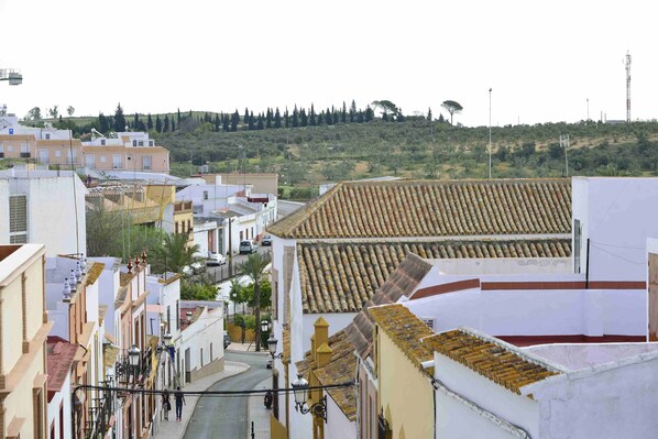 Vistas calle Real desde terraza-solariúm