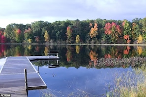 Lake view during fall