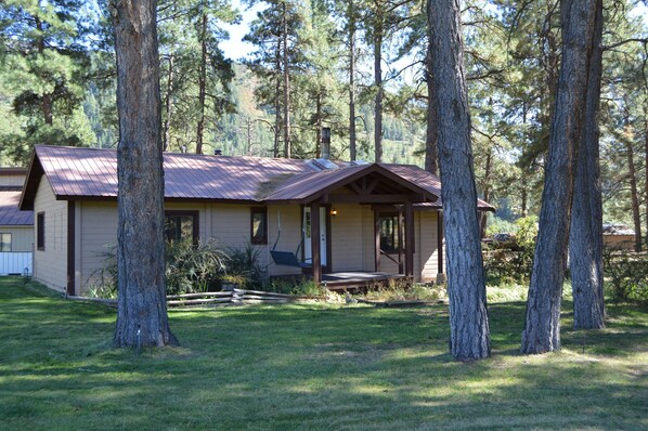 Exteriör