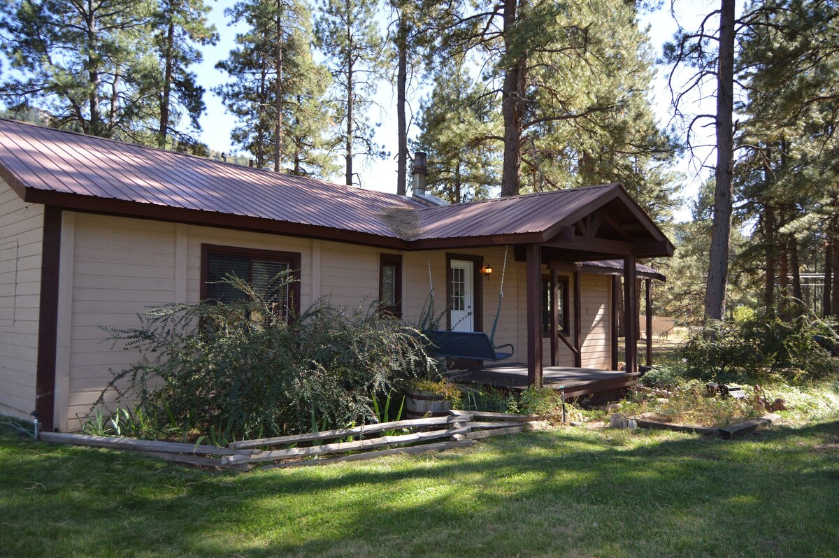 Cozy Cabin in the Pines! Beautiful property with lots of space!