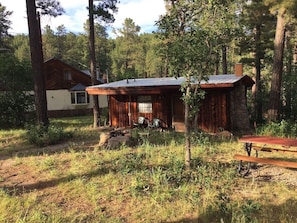 Denmin Cabin - back faces meadow