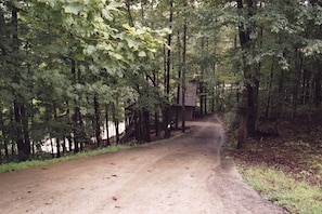 The driveway leading down to the cabin.  YES, it is steep.