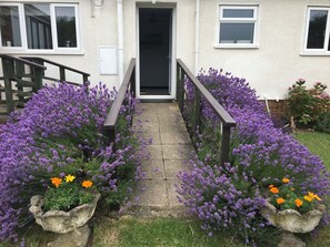 The main entrance with ramp flanked by beautiful smelling lavender on both sides