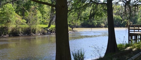 Bayou Manchac looking towards the Amite River