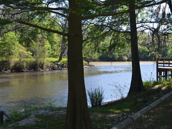 Bayou Manchac looking towards the Amite River