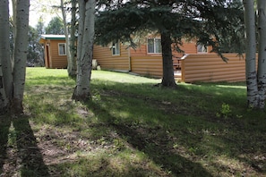 Side yard and BBQ Deck