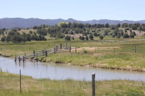 Oklassificerad bild, 3 av 23, knapp