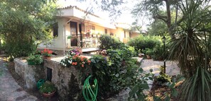 The House